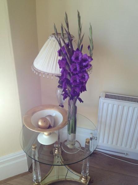 Number27Harrogate Bed and Breakfast Eksteriør billede